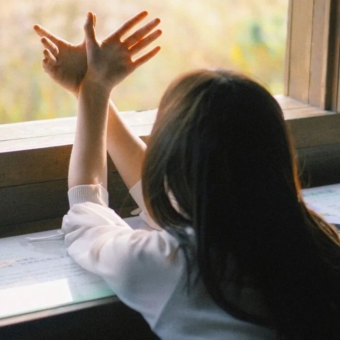 铜雀春深锁二美